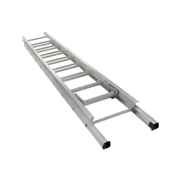 TWO PART/DOUBLE EXTENSION LADDER